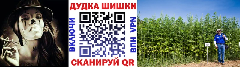 MEGA зеркало  что такое   Навашино  Марихуана марихуана 